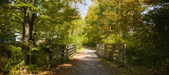 Biking the Catharine Valley Trail