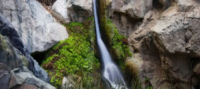 Death Valley Oasis at Darwin Falls!