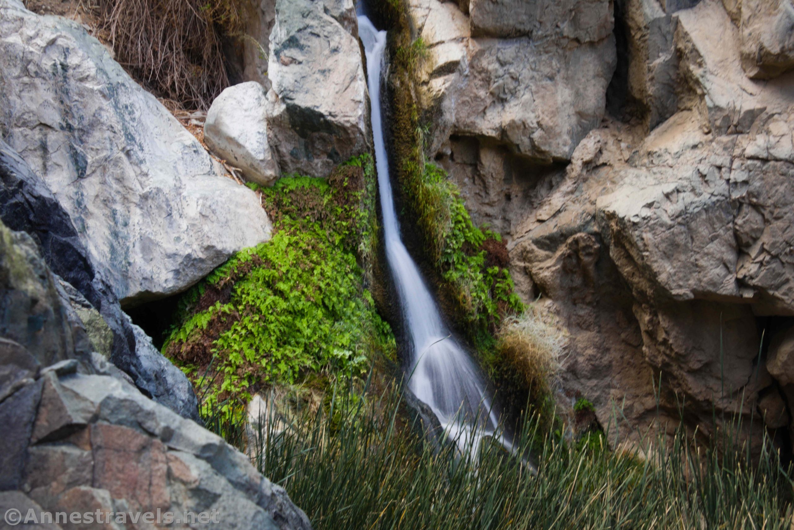 Darwin Falls in Death Valley National Park, California