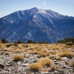Views of Telescope Peak from Wildrose Peak, Death Valley National Park, California