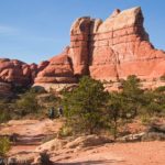 Along the Elephant Canyon Trail, Needles District, Canyonlands National Park, Utah