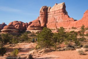 Along the Elephant Canyon Trail, Needles District, Canyonlands National Park, Utah