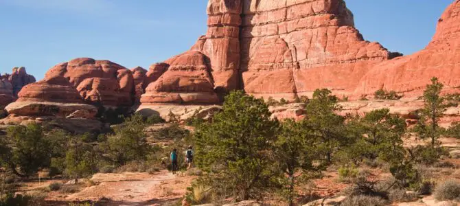 Needles Views on the Elephant Canyon Trail