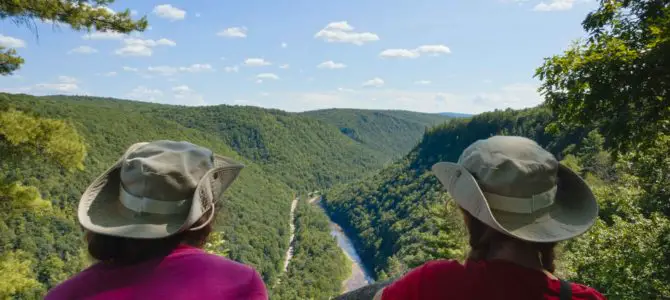 The Overlook in Colton Point State Park