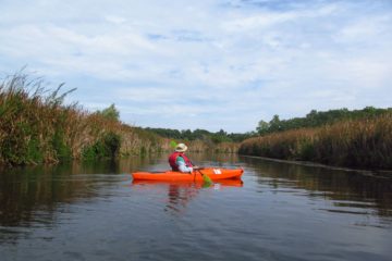 Paddling Irondequoit Creek – Ellison Park to Irondequoit Bay