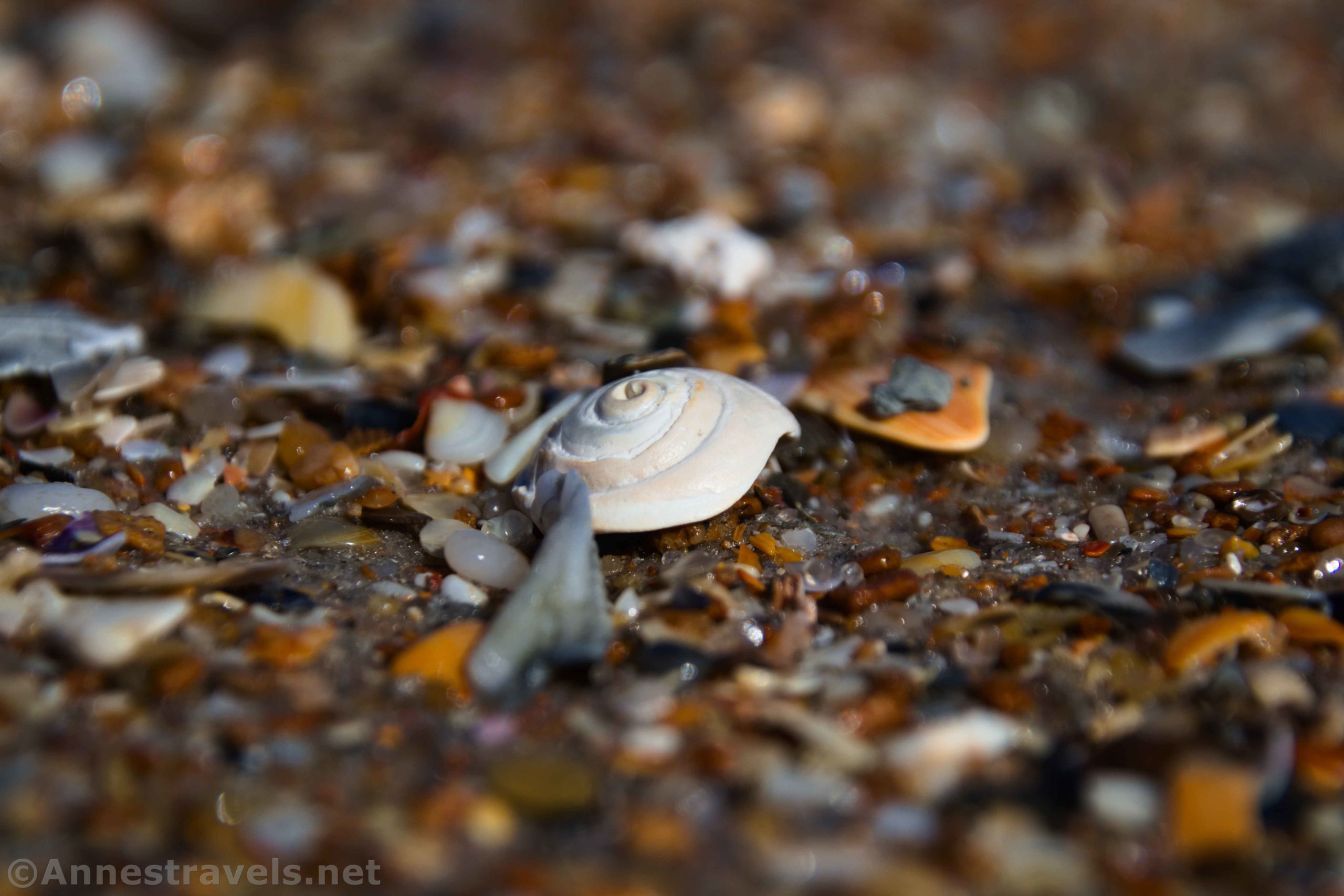 Photos from Topsail Island!