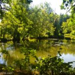 Views of Black Creek from near the Genesee Valley Greenway, Rochester, New York