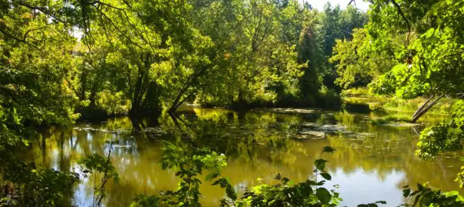 Genesee Valley Greenway-Lehigh Valley Trail Loop in Rochester!