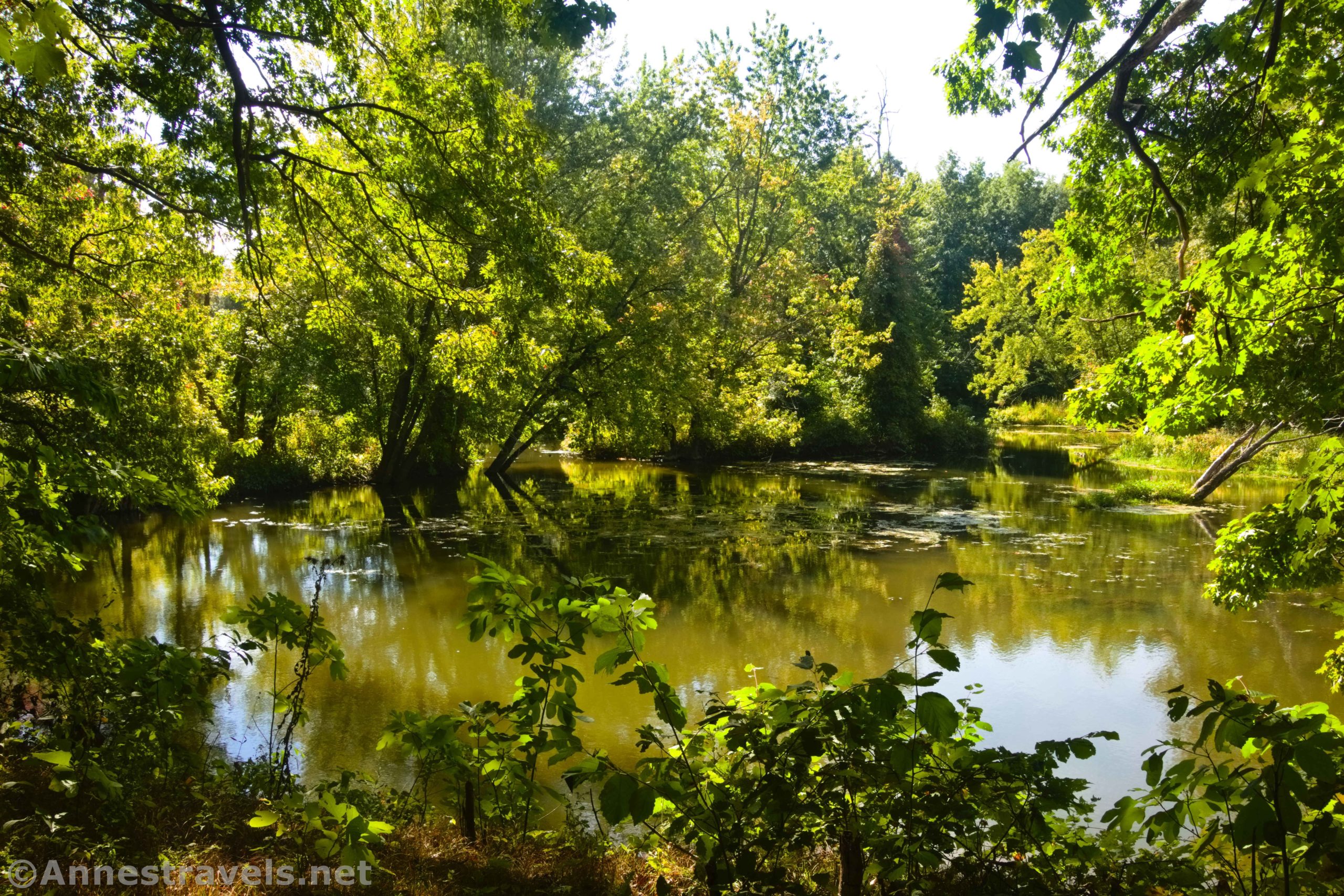 Views of Black Creek from near the Genesee Valley Greenway, Rochester, New York