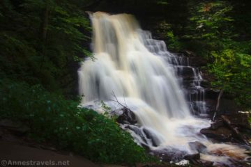 The Falls Trail through Ganoga Glen in Ricketts Glen State Park