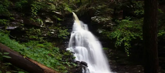 The Falls Trail through Glen Leigh in Ricketts Glen State Park The Falls Trail through Glen Leigh in Ricketts Glen State Park