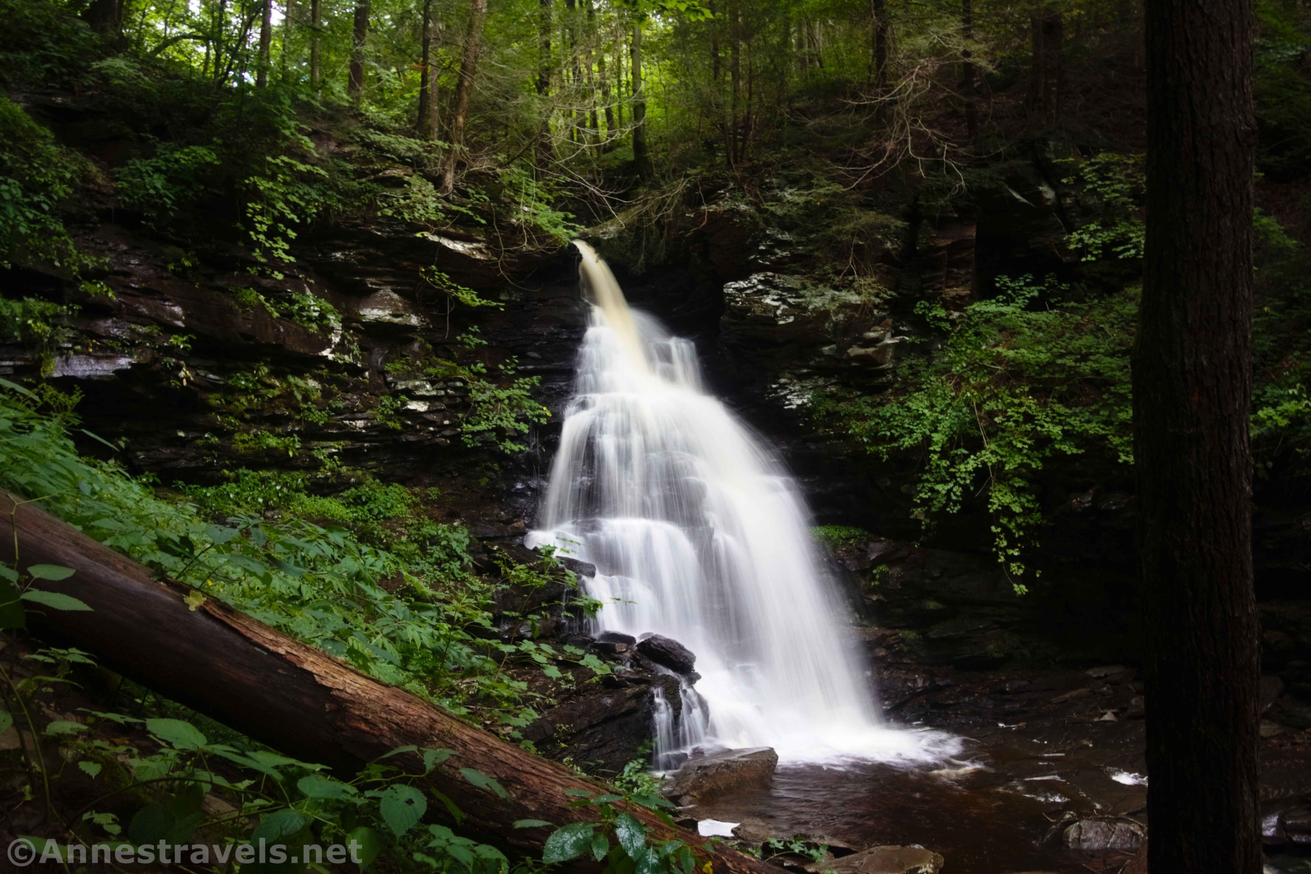 Ozone Falls in Glen Leigh, Ricketts Glen State Park, Pennsylvania
