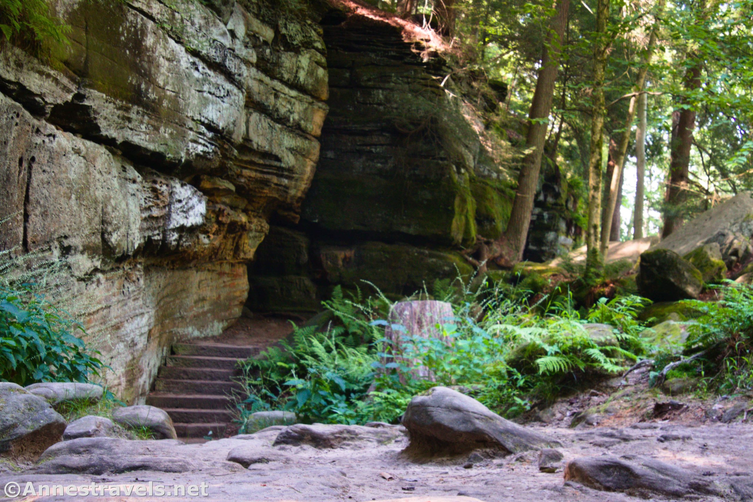 The Ledges near Ice Box Cave, Cuyahoga Valley National Park, Ohio