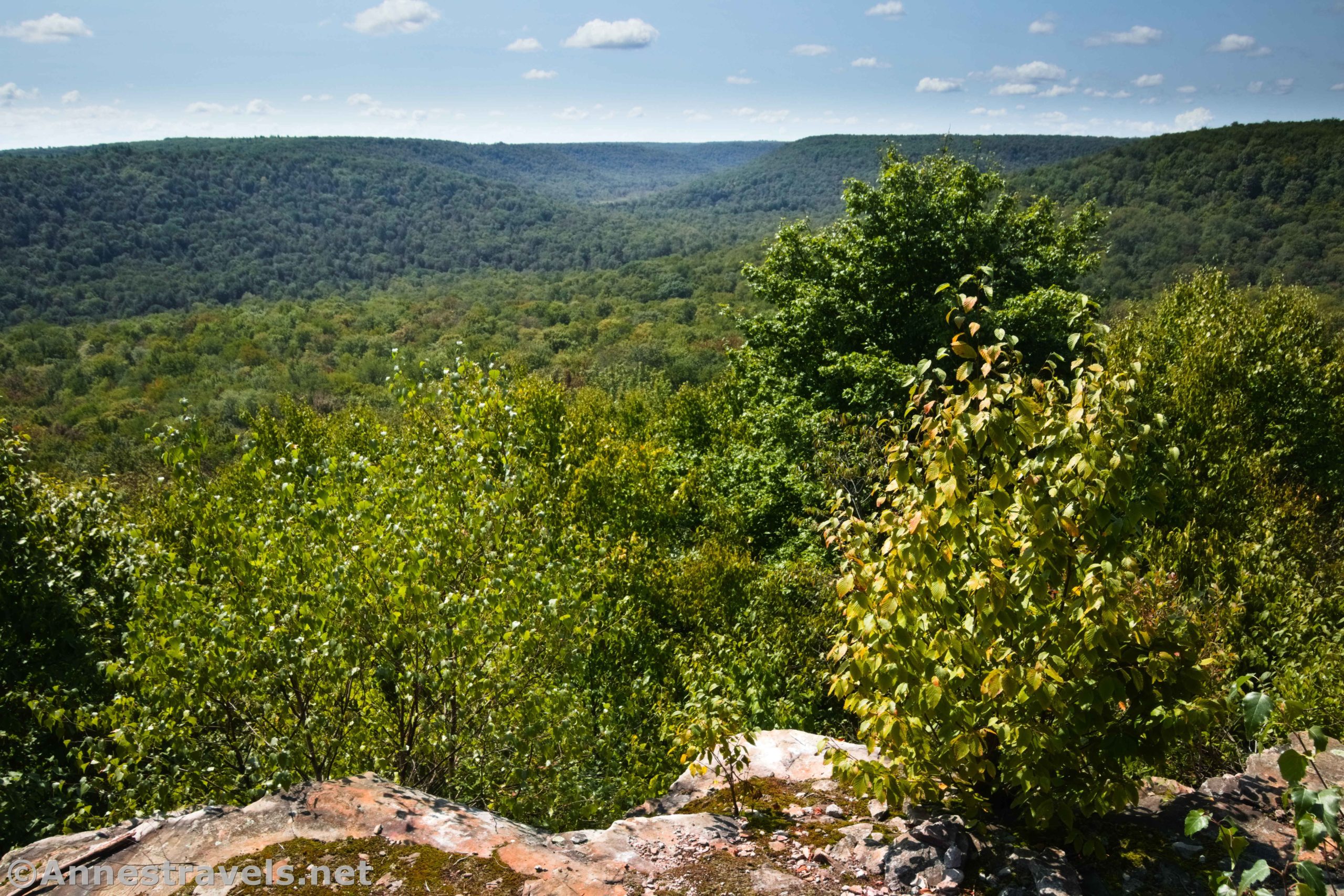 Views toward Ricketts Glen State Park from Coyote Rocks, State Game Lands 57, Pennsylvania