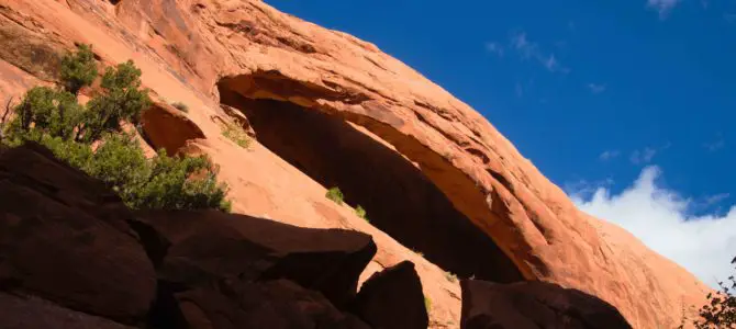 Longbow Arch near Moab
