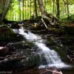 An unnamed waterfall on Cold Run in Worlds End State Park, Pennsylvania