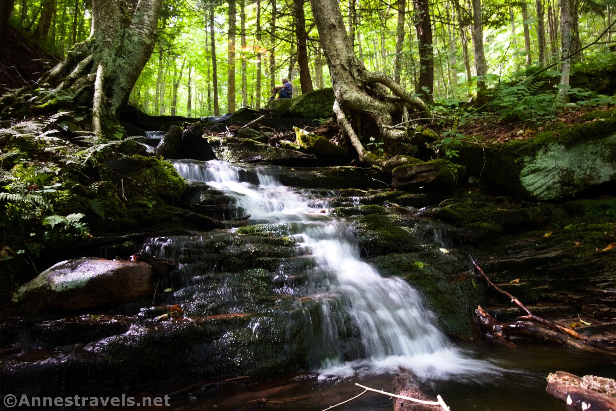 An unnamed waterfall on Cold Run in Worlds End State Park, Pennsylvania