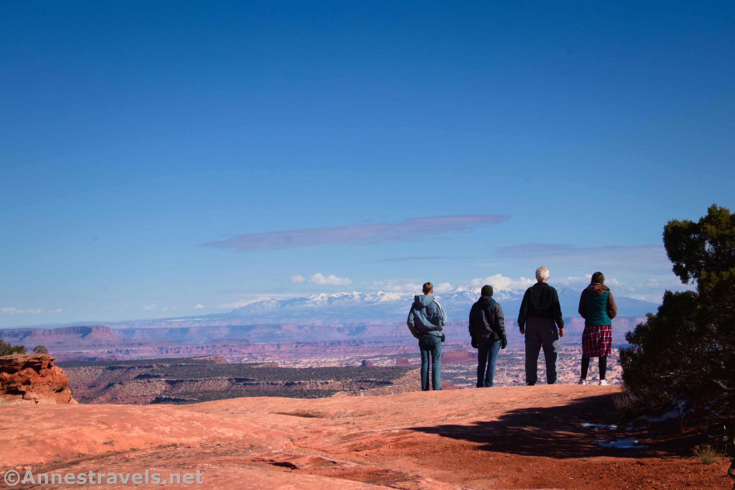 Enjoying the views at the Flint Trail Overlook, Maze District of Canyonlands National Park, Utah