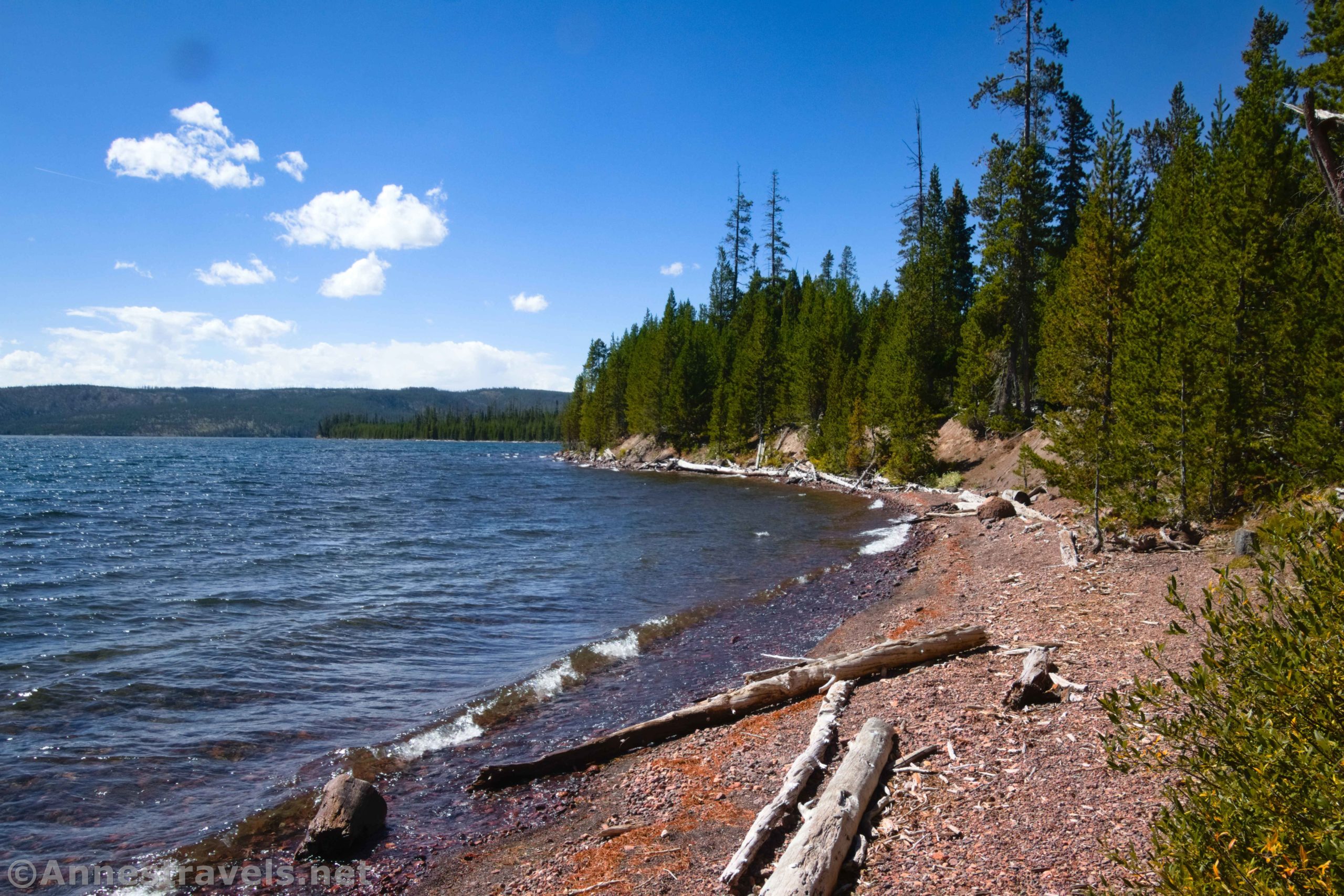 North shoreline of Lewis Lake, Yellowstone National Park, Wyoming
