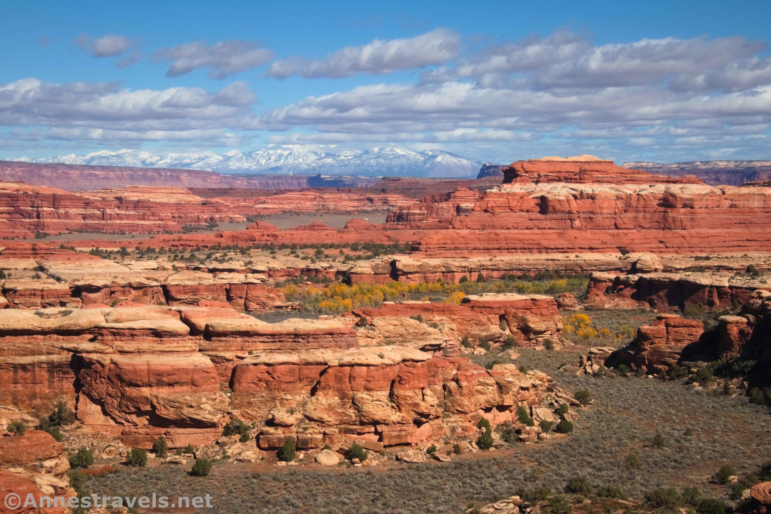 Looking down Lost Canyon from the Peek-a-boo Trail, Needles District of Canyonlands National Park, Utah