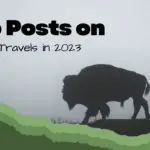 Top posts on Anne's Travels in 2023. A bison silhouette in Yellowstone National Park, Wyoming