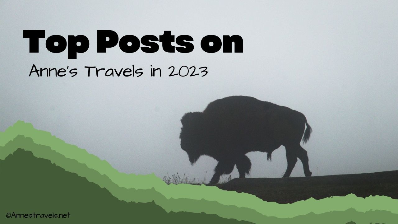 Top posts on Anne's Travels in 2023. A bison silhouette in Yellowstone National Park, Wyoming