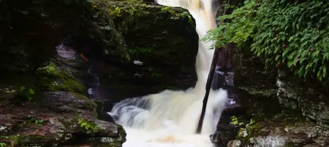 Adams Falls & the Evergreen Trail