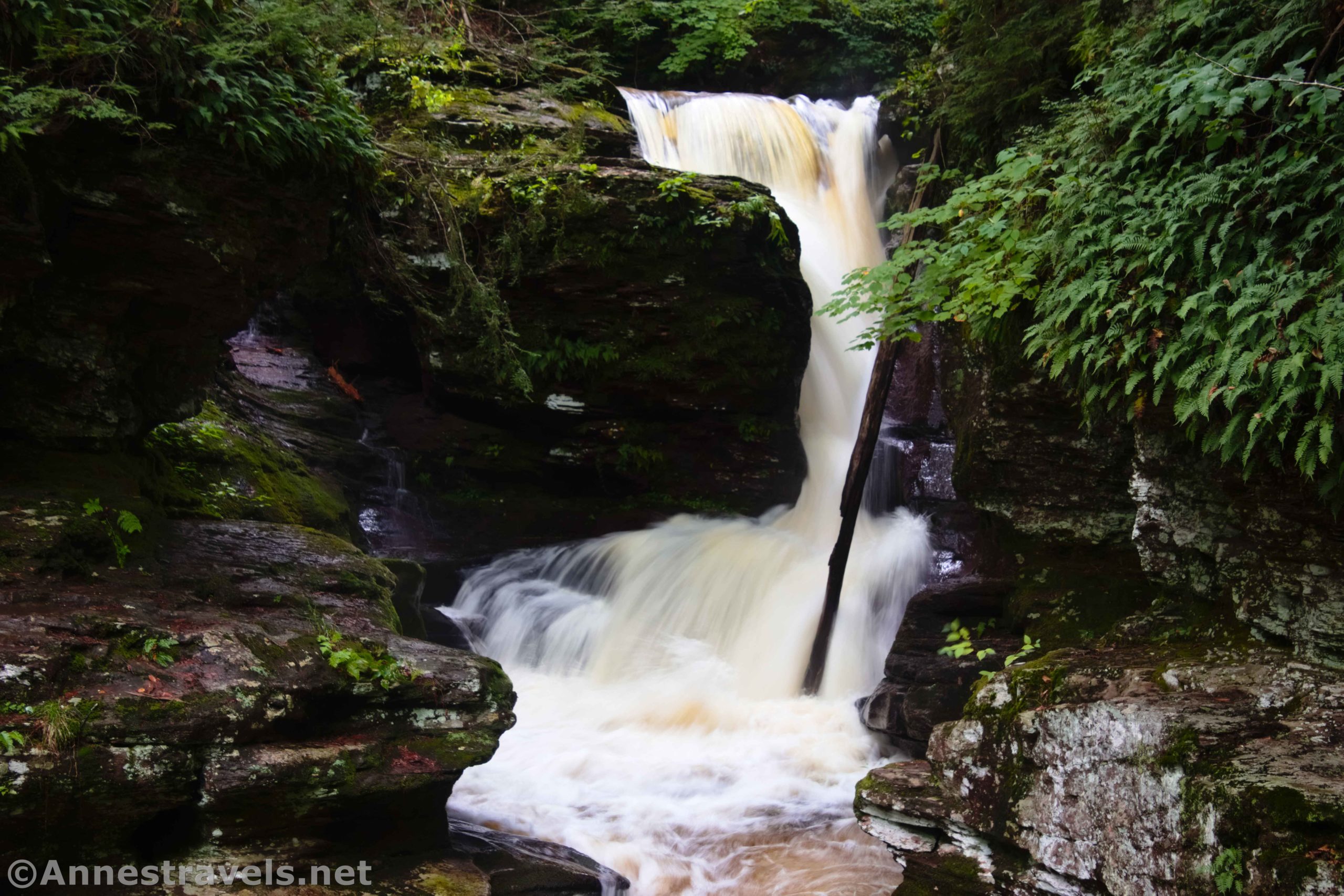 Adams Falls from about halfway down the gorge, Evergreen Trail in Ricketts Glen State Park, Pennsylvania