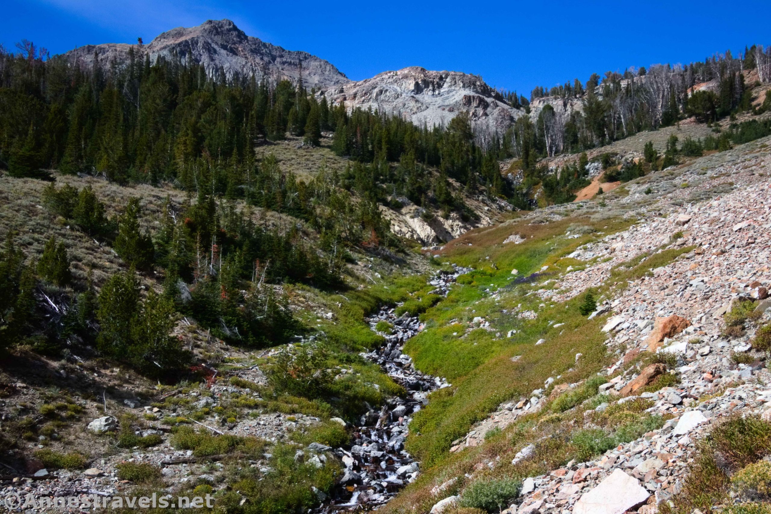 A stream flowing down the valley below Silver Lake, Sawtooth National Recreation Area, Idaho