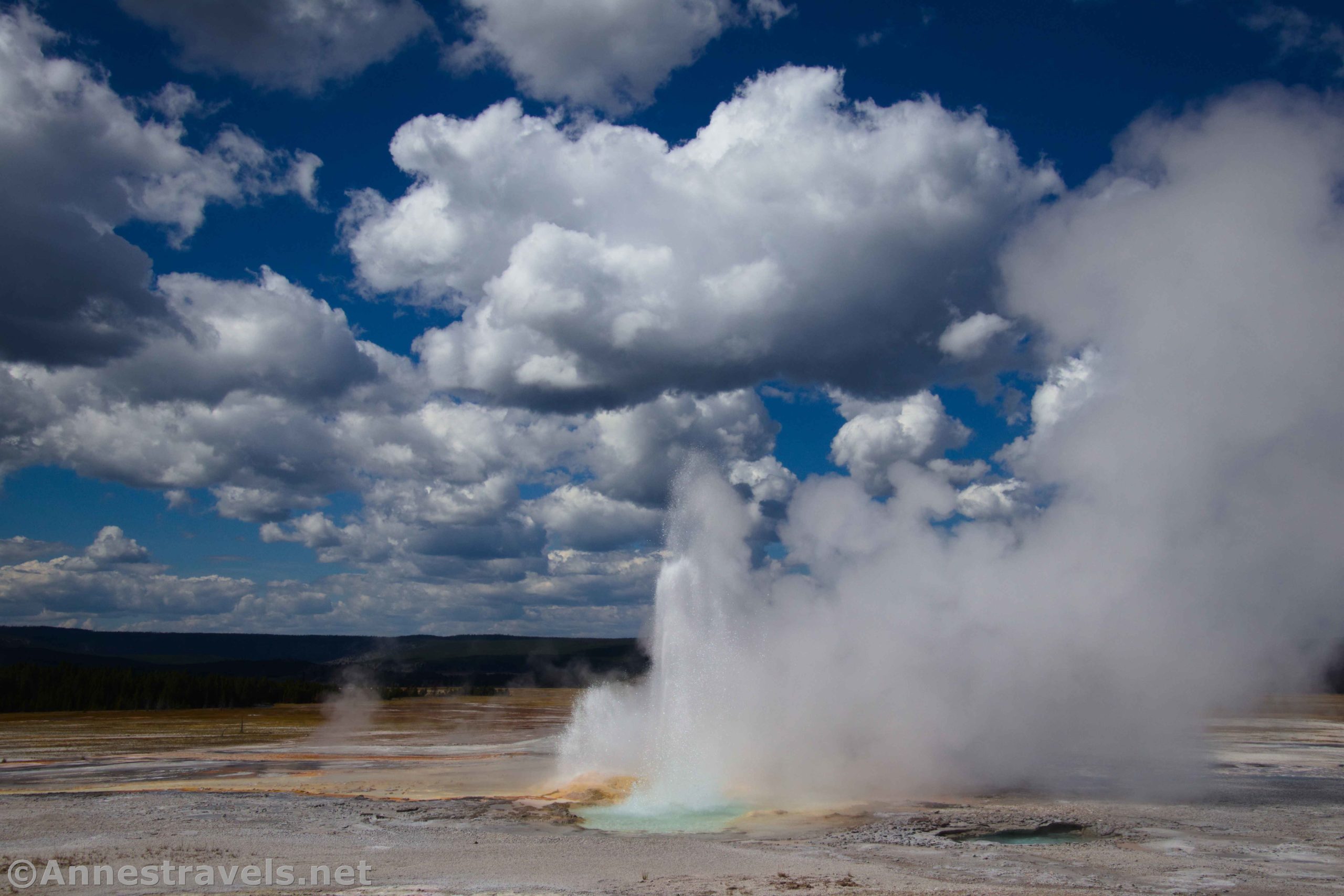 Clepsydra Geyser erupts in the Lower Geyser Basin below the Fountain Paint Pots, Yellowstone National Park, Wyoming