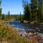 The Gardner River below Sheepeater Cliff, Yellowstone National Park, Wyoming