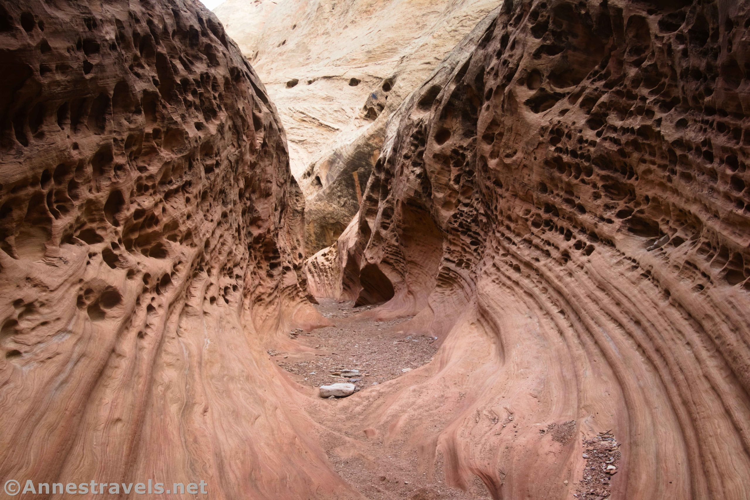 Holes in the canyon walls of Little Wildhorse Canyon, San Rafael Swell, Utah