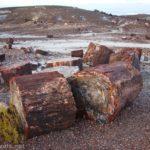 Petrified wood along the Crystal Forest Trail, Petrified Forest National Park, Arizona