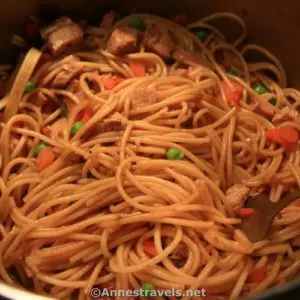 Sesame noodles backpacking meal or camping meal