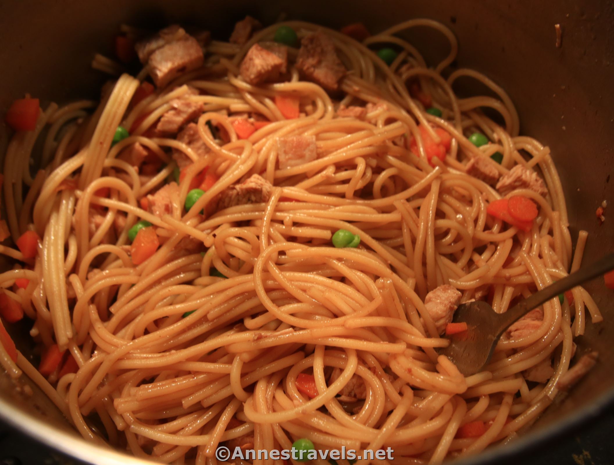 Sesame noodles backpacking meal or camping meal