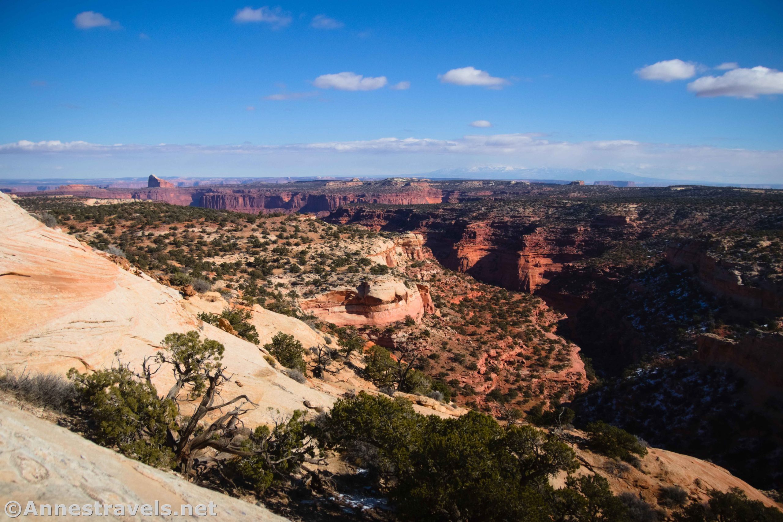 Views to Cleopatra's Chair and into a sidecanyon of Millard Canyon from Observation Rock, Maze District of Canyonlands National Park, Utah