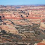Views from Cathedral Point and the Big Pocket Overlook, Needles District of Canyonlands National Park and Bear Ears National Monument, Utah