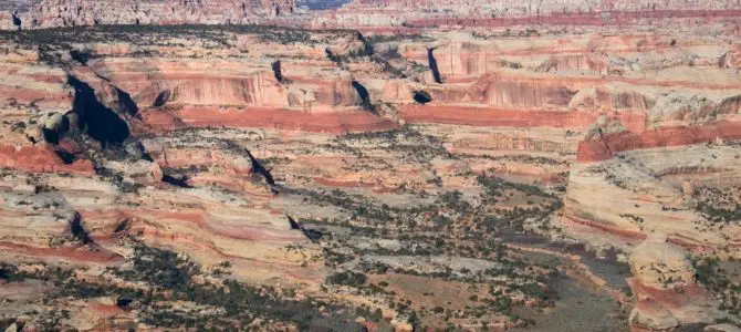 Upper Salt Creek Views from the Big Pocket Overlooks