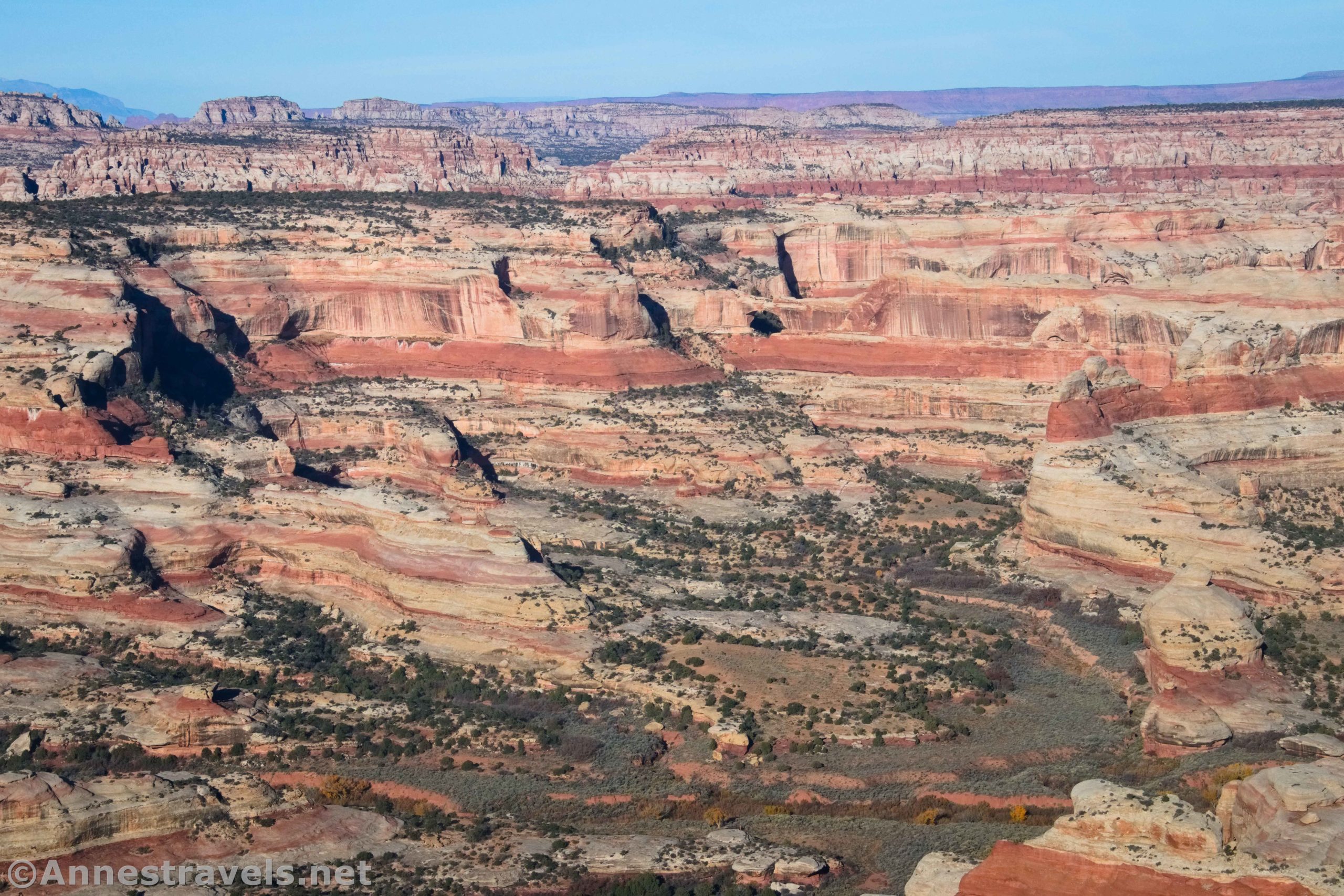 Views from Cathedral Point and the Big Pocket Overlook, Needles District of Canyonlands National Park and Bear Ears National Monument, Utah