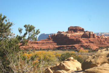 Viewpoints and Short Trails in the Needles District