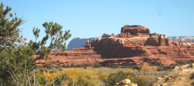Viewpoints and Short Trails in the Needles District