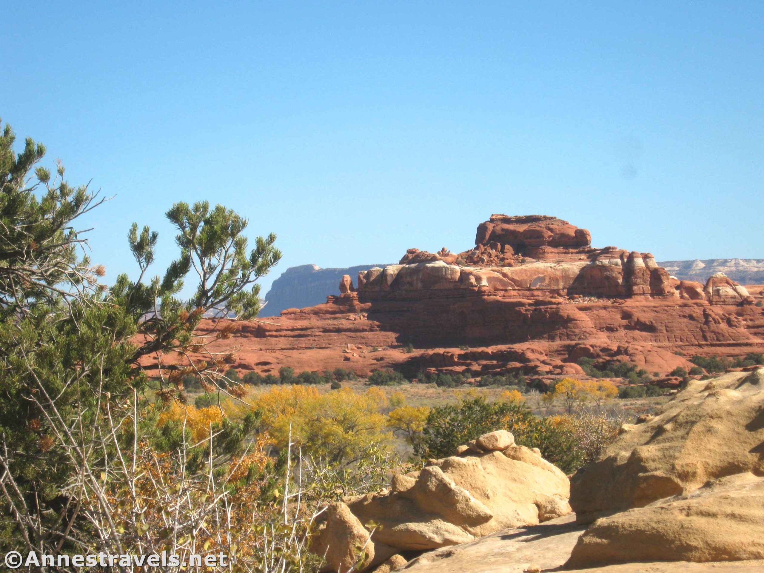 Rock formations from the Cave Spring Trail, Needles District of Canyonlands National Park, Utah