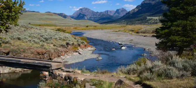 Great Views from the Lamar River Trail