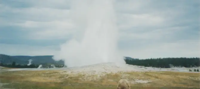 Photos from All of My Visits to Old Faithful!