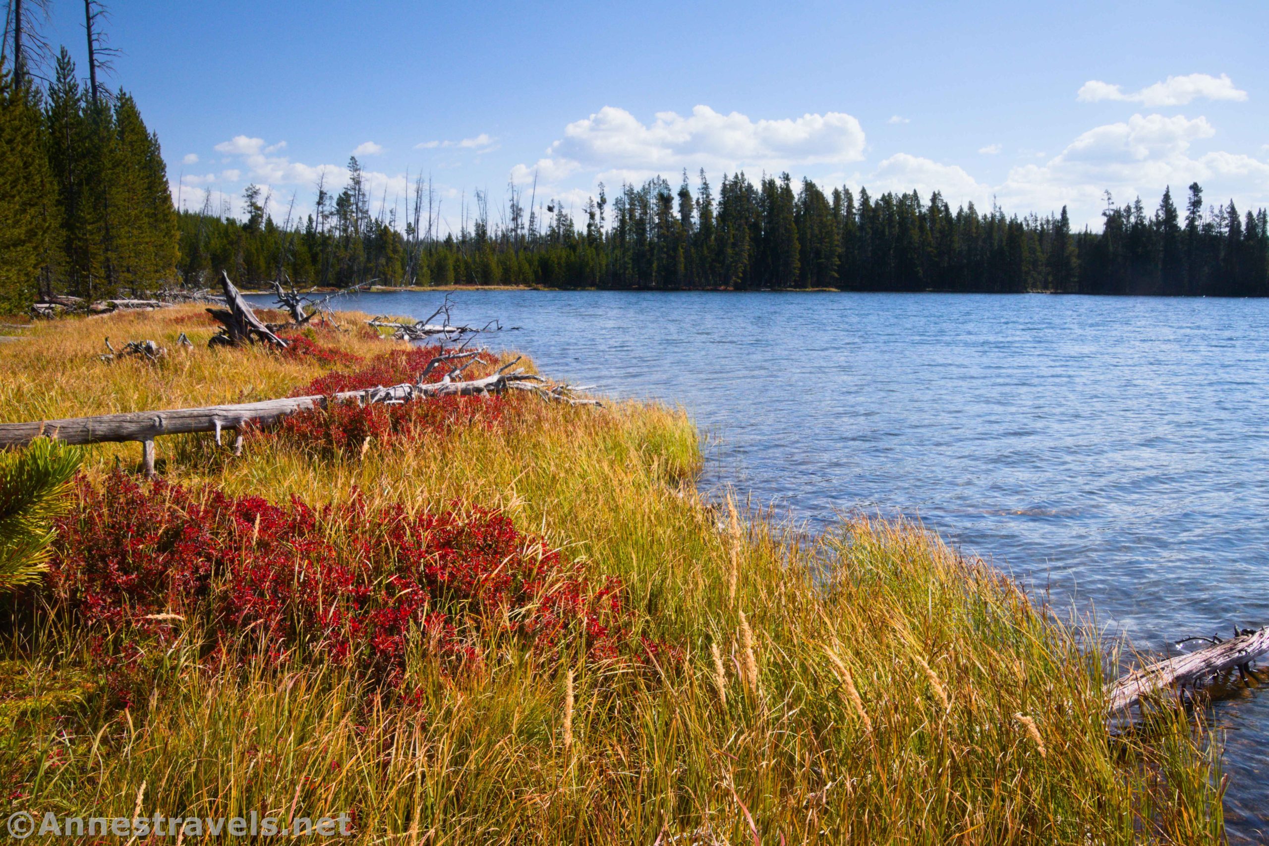 Autumn colors on the edge of Ice Lake, Yellowstone National Park, Wyoming