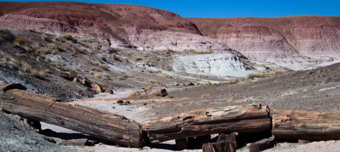 Exploring the Painted Desert to Onyx Bridge