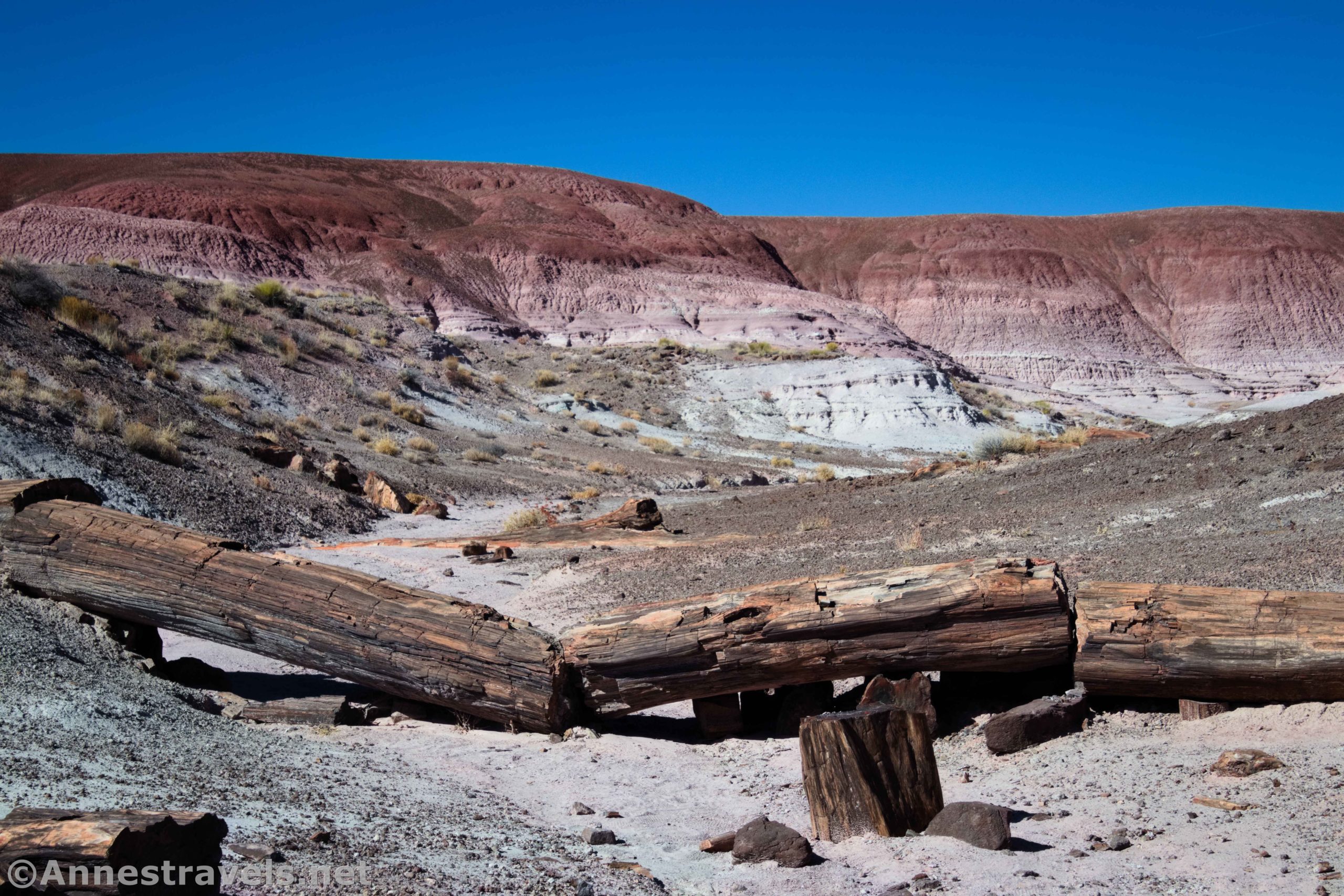 Onyx Bridge in the Painted Desert, Petrified Forest National Park, Arizona