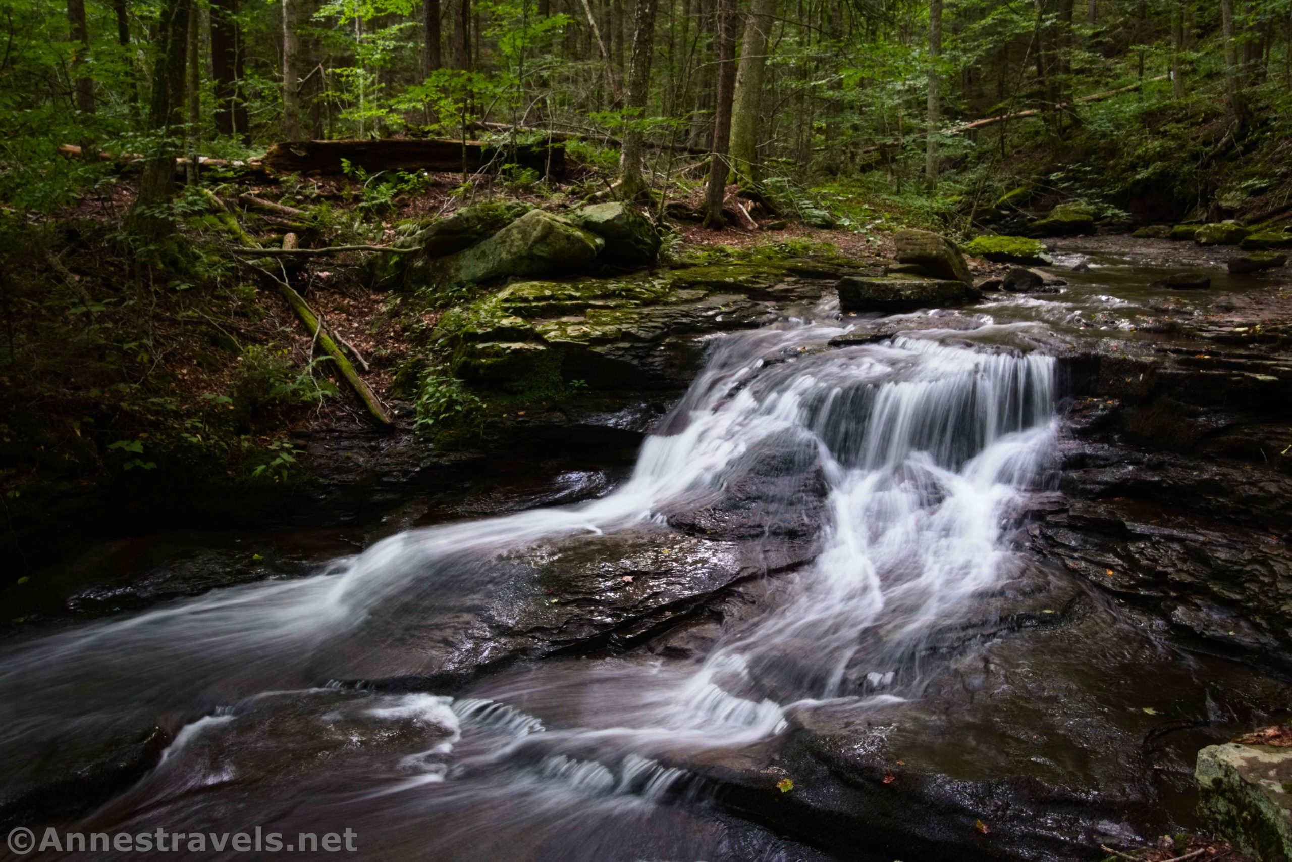 Views of an unnamed waterfall along Double Run in Worlds End State Park, Pennsylvania
