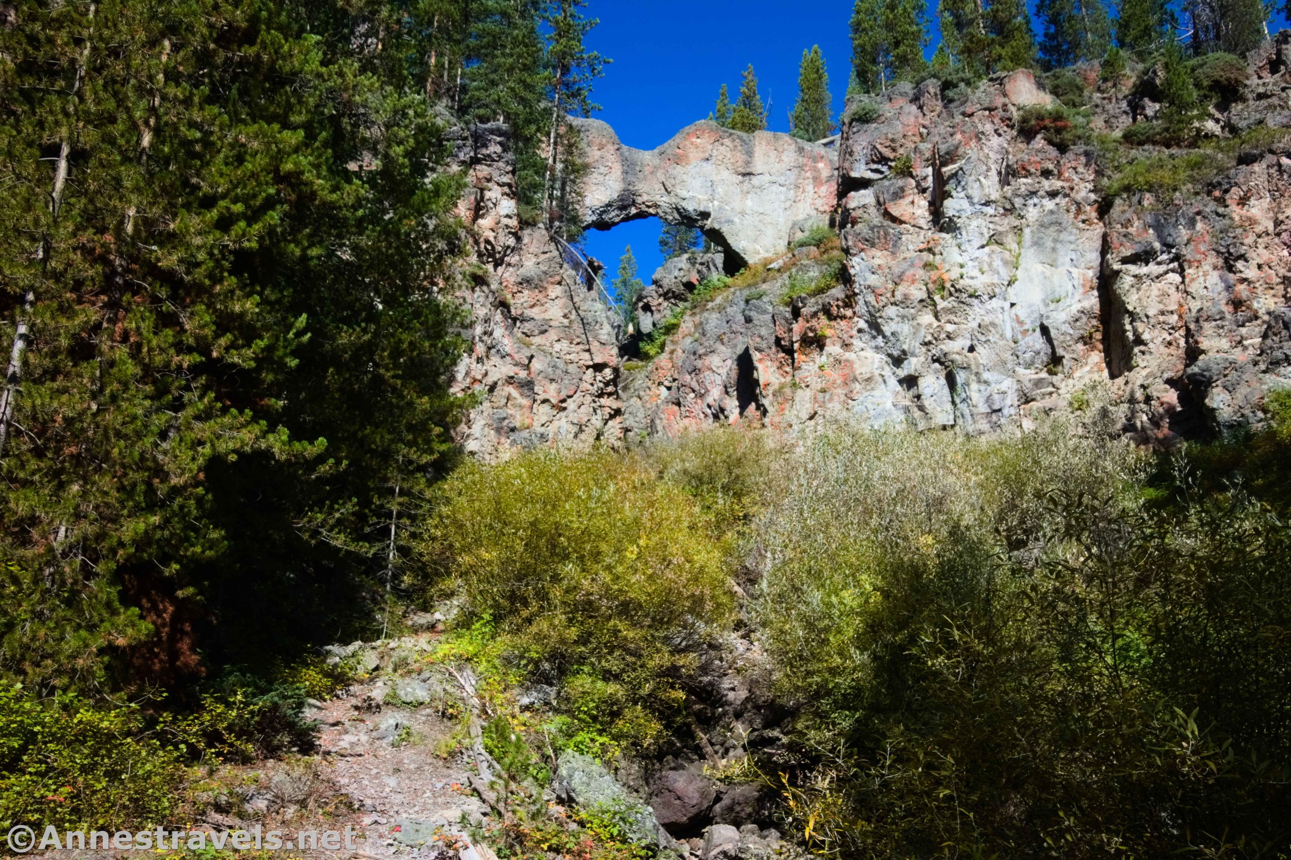 Views to Yellowstone's Natural Bridge, Yellowstone National Park, Wyoming