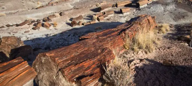 The Painted Desert’s Wilderness Loop